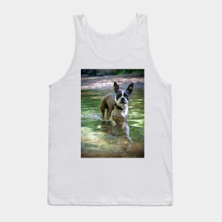 Meryl the Boston Terrie Tank Top